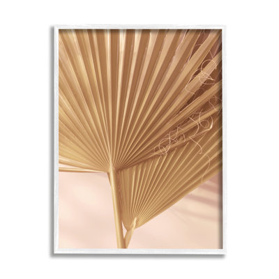 Deux feuilles de palmier, photographie de plantes tropicales blanchies au soleil par Ian Winistanley
