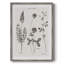 Multi Botanical II, reproduction encadrée - bois massif 48180-1180651485