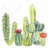 Small cactus - 32"x32" art on canvas