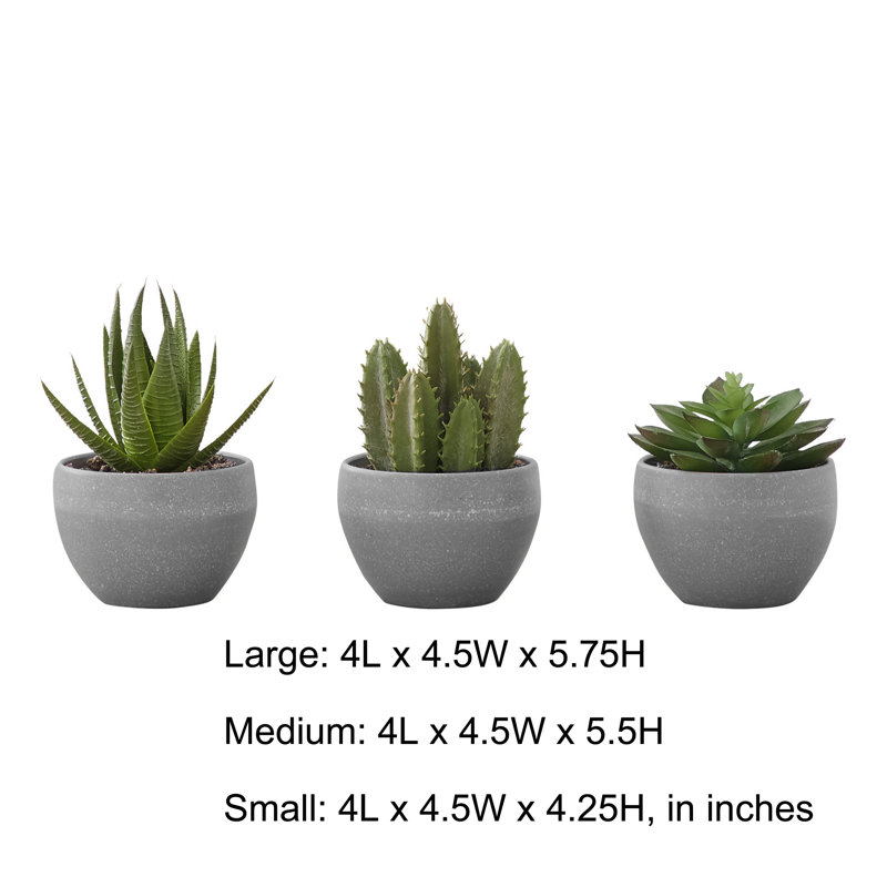 Set of 3 Green Faux Succulent Plants in Gray Pots