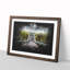 Fayette Station Bridge In West Virginia Paint Splash - Picture Frame Graphic Art-56866248-56866250