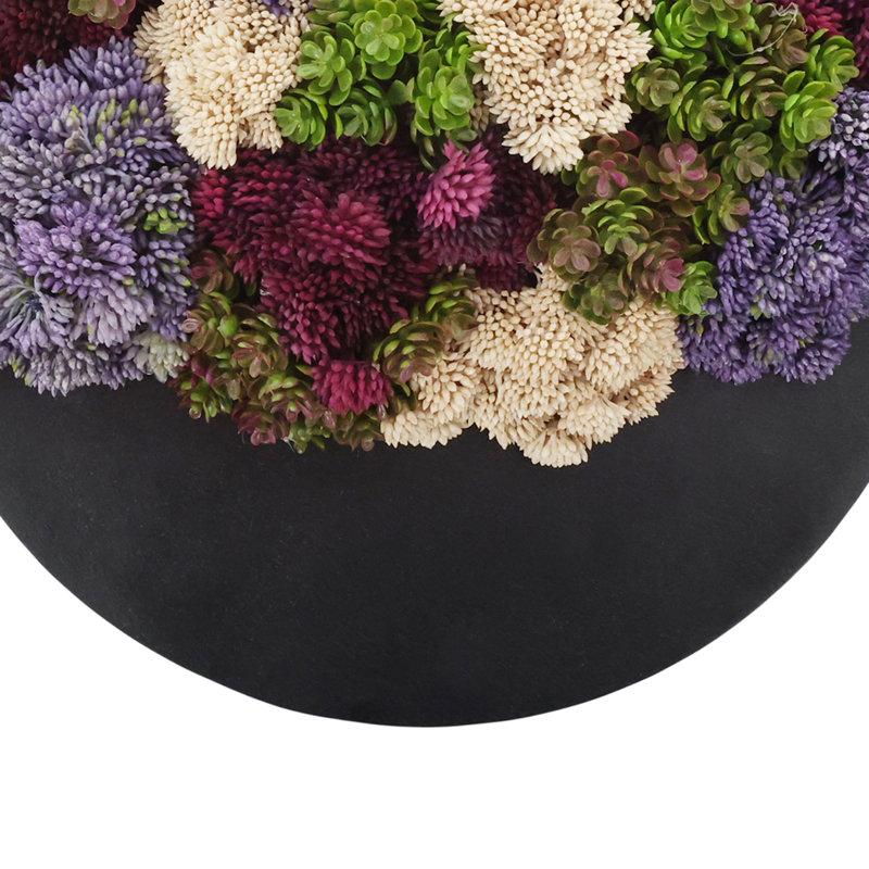Assortiment de pots à fleurs suspendus Sedum