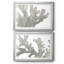 Corail macro en pierre I - Étude nautique antique, sous passe-partout et encadré sous verre acrylique, lot de 2, décoration murale côtière pour salon-1596873063-1596873064