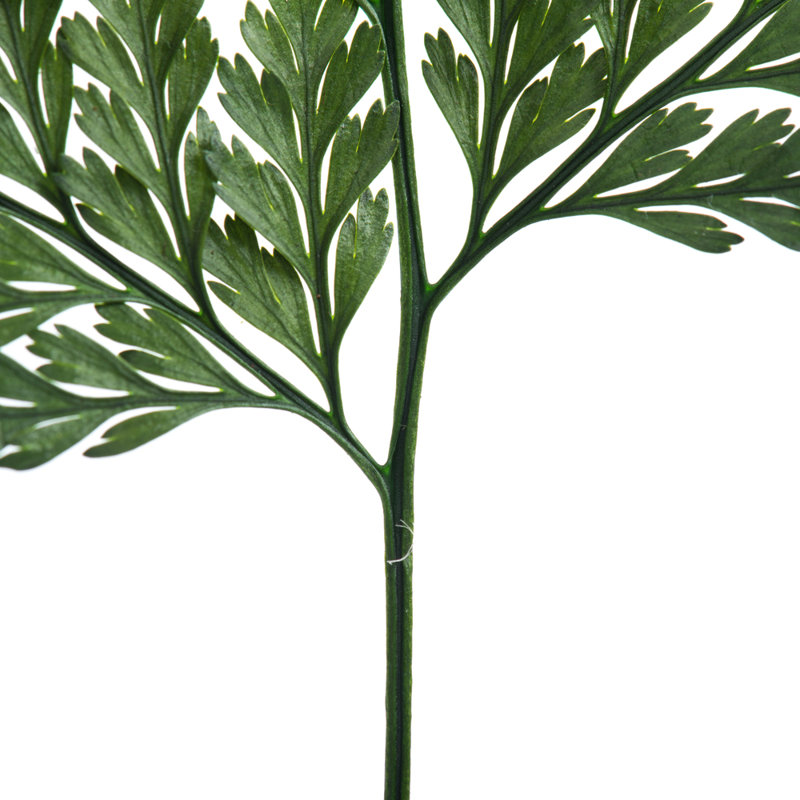 Ensemble de 6 plantes à feuillage préservé