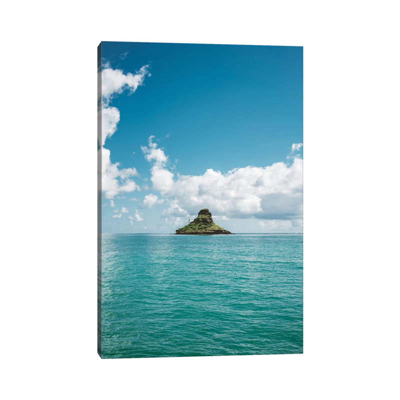 «Mokoli'i III» par Bethany Young - Giclée sur toile tendue avec châssis, H 26 po x l 18 po x 1,5 po
