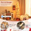Arbre de Noël pin clair-296265471
