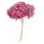 Natural Botanicals 15" Hydrangea with Multiple Branch Segments, Preserved-616070911