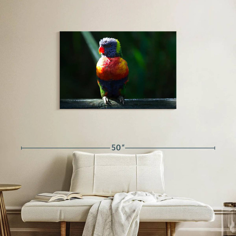 Brampt Sunlit Rainbow Lorikeet, 24" H x 36" W