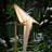 Metal Novelty Lamp