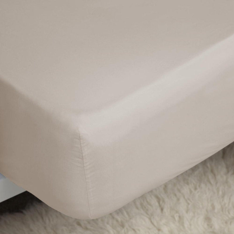 Plain Dye 200 TC Egyptian-Quality Cotton 100% Cotton Percale Fitted Sheet, Oyster, Super King (6')