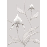 Orchid Floral Wallpaper Roll