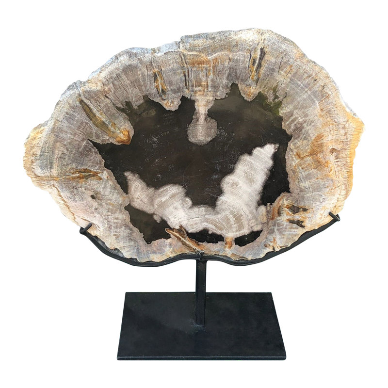 Lily''s Living Approx. 10-12"W Natural Stone Petrified Log Fossil With Stand Statue, Art Figurine Sculpture, Home Décor Collectible (Size Vary)