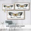 «Vintage Flutter IV», toile tendue avec châssis encadré, prête à être accrochée-315137231-315137224