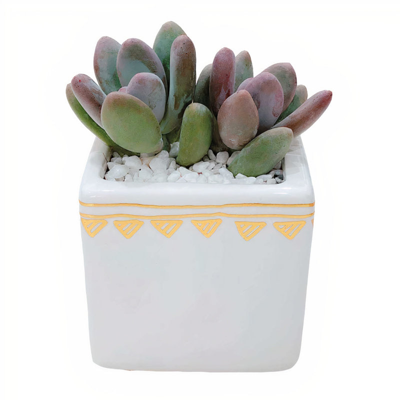 Yitzel Handmade Ceramic Pot Planter
