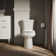 Highline 1.28 GPF Water Efficient Round Two-Piece toilet (Seat Not Included)