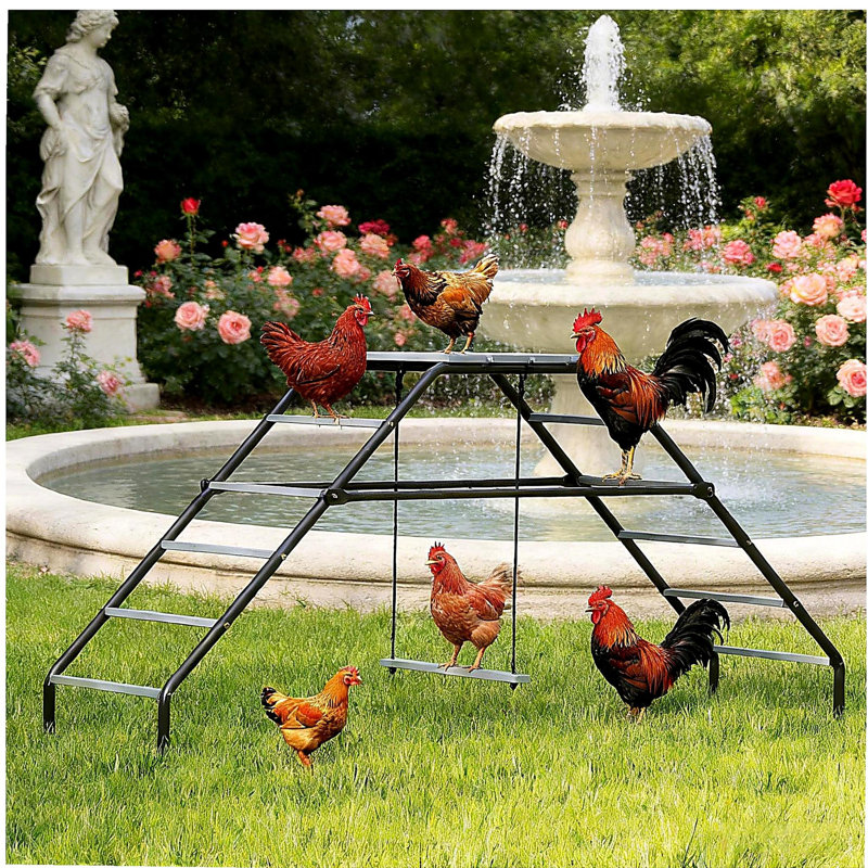Chicken Activity Shelf,Chicken Coop Perches