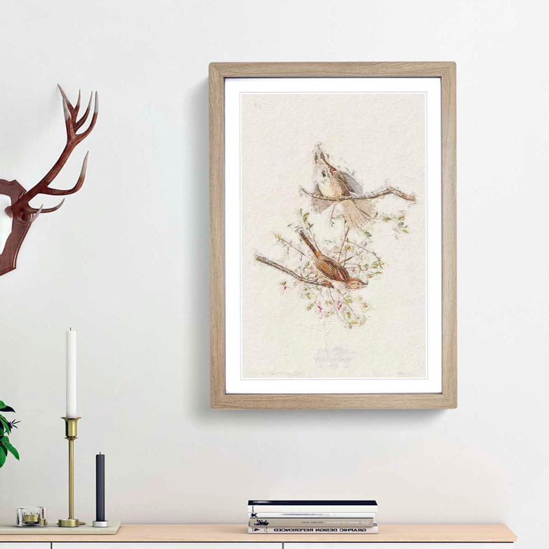 Song Sparrows by John Audubon - Picture Frame Painting Print, 48cm H x 36cm W x 2cm D, Oak Framed