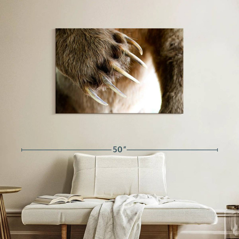 Griffes d'ours, H 26 po x l 39 po