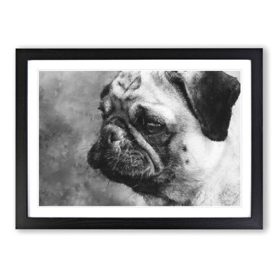 Pug Dog - Framed Print