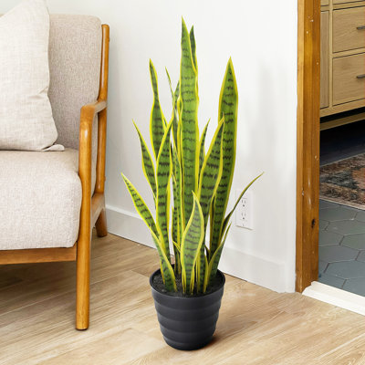 Plante de serpent artificielle Sansevieria en pot