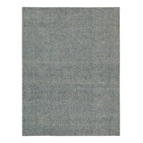 One-of-a-Kind No Hand Knotted Area Rug