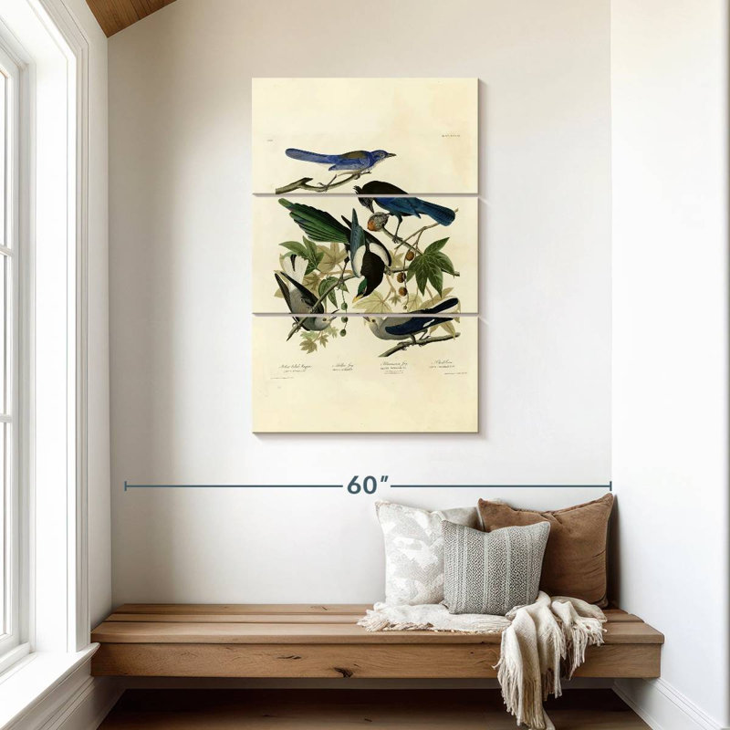 Assiette Brampt 362 d'oiseaux d'Amérique