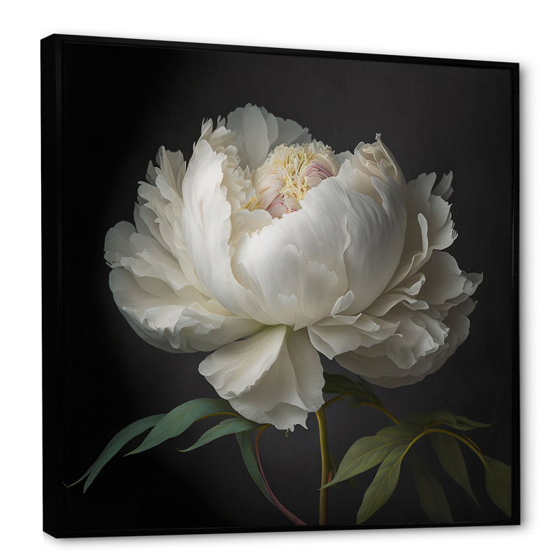Blooming White Peony VI - Art mural pivoine, H 36 po x l 36 po, Reproduction avec cadre flottant, Noir