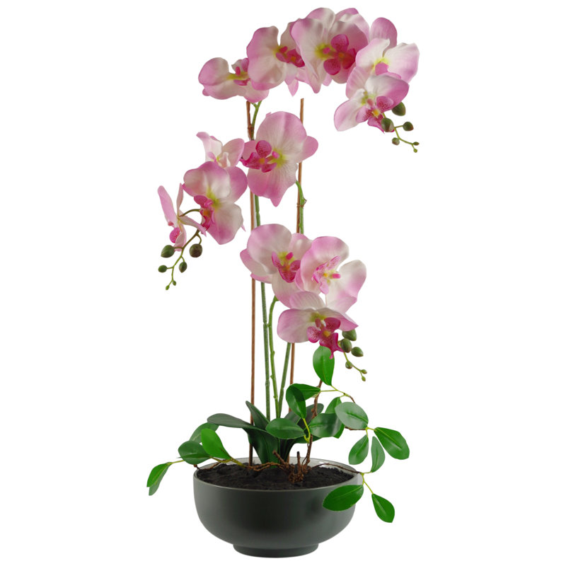 Anari 65cm Faux Tree in Ceramic Planter