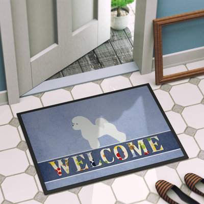 Non-Slip Outdoor Doormat