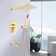 Complete Shower System