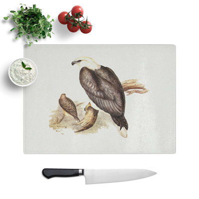 Tempered Glass White-Bellied Sea Eagle by Elizabeth Gould Chopping Board