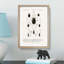 Beetle Illustrations PL.5 by Charles D'Orbigny - Single Picture Frame Print-55544096-55544097