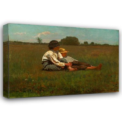 Garçons dans un pré