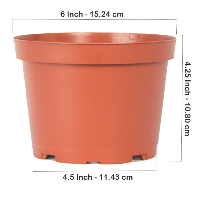 6 Inch Teku Plastic Pot Terra Cotta (10 Pack)