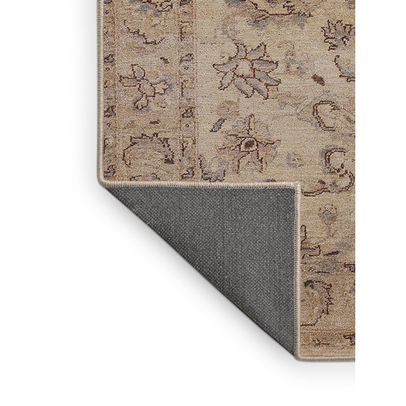Skarp Oriental Indoor Rug, Rectangle 5' x 7'