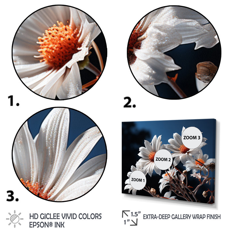 Champ de marguerites blanches au lever du soleil II - impression, Toile tendue, H 24 po x l 32 po x P 1 po