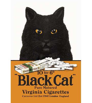 « black cat pure mature », affiche rétro