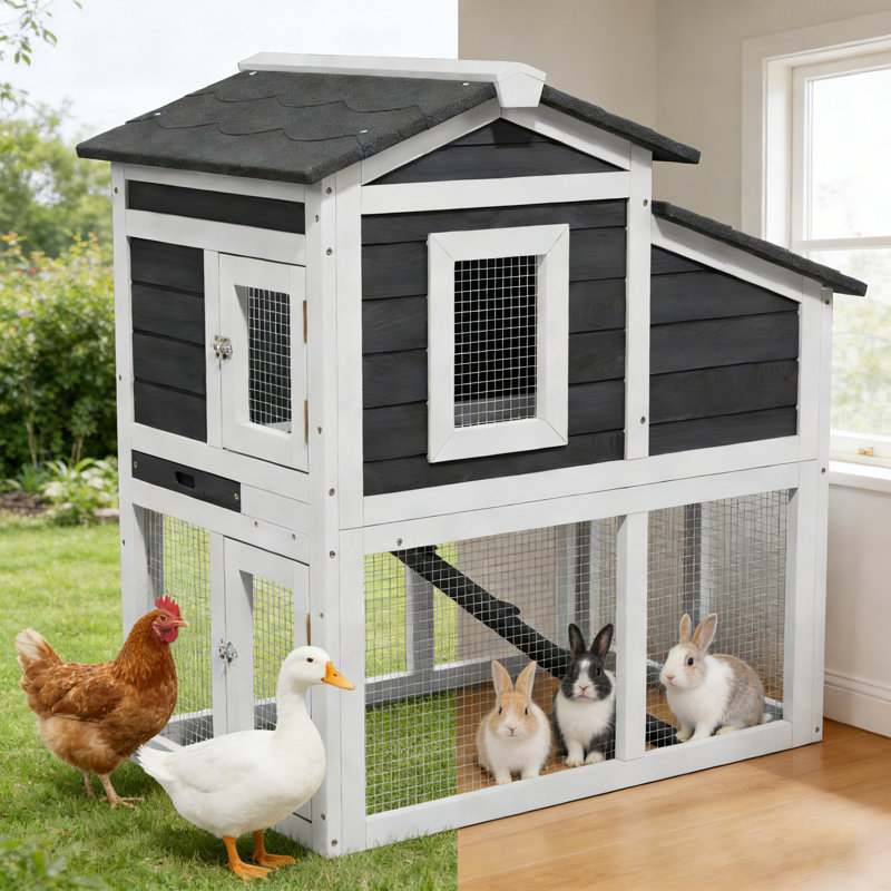 Poulailler d'extérieur en bois à 2 niveaux avec plateau et toit ouvrable pour 2 poules adultes