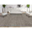 Area Rug in Gray