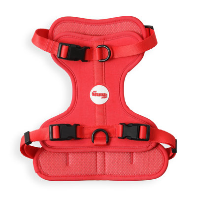 Harnais pour animal de compagnie Arlo