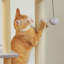 Arbre à chat en bois avec condo, hamac et balle jouet-229672365
