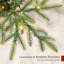 Multicolore sapin de Noël illuminé pré-éclairé