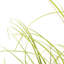 Faux Foliage Grass in Planter-2038103176