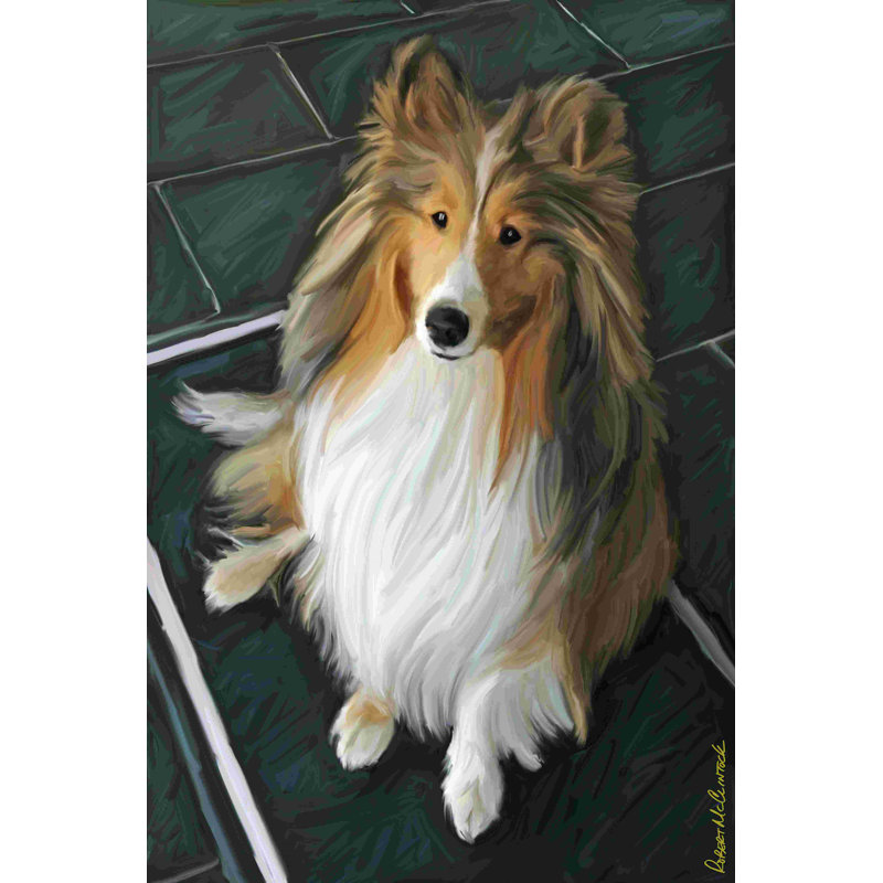 Sheltie élevé à l'écorce 2855534, H 36 po x l 24 po