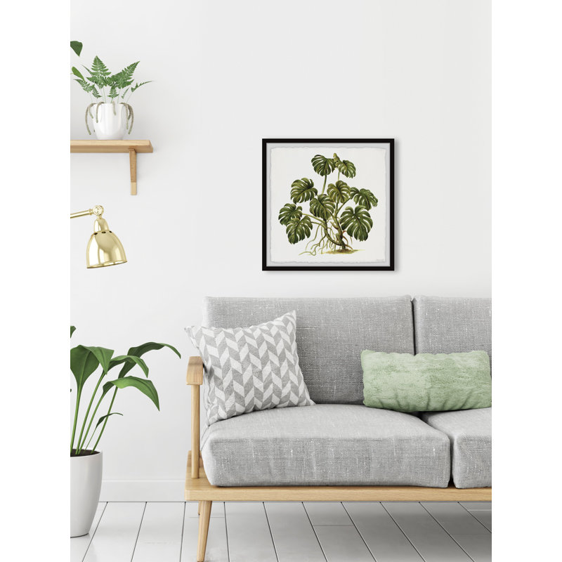 Exotic Palms - reproduction de cadre photo, H 12 po x l 12 po x P 1,5 po