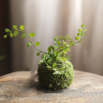 Fern Leaf Small Grass Ball Simulation Moss Ball Landscape Decoration Ornament Simulation Green Plant Indoor Home Decoration Small Ornament