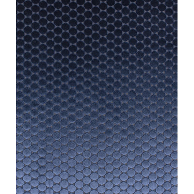 Newman Fabric
