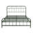 Queen Size Metal Bed With Rounded Corner Headboard And Footboard, Green, Durable And Stylish For Modern Bedrooms-816662316-816662317