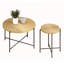 Ensemble de tables basses et de tables de bout 2 pièces avec panneau de fibres à densité moyenne imperméable, housse en PVC, conception cylindrique vieillie et pieds en métal noir pour un charme rustique classique-185249402