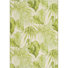 Green/Cream